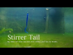 GrubTail Alive Perch Trout Pike Artificial Soft Lure Jig Head Shad Silicone zwembroek