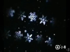 Vakantiefeest Kerstprojectorverlichting Huwelijk Indoor Outdoor Projectorverlichting